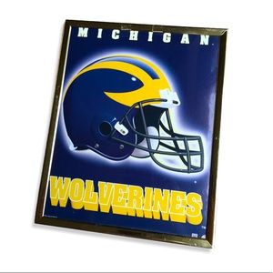 ✨3/$20✨ Michigan Wolverines Framed Poster